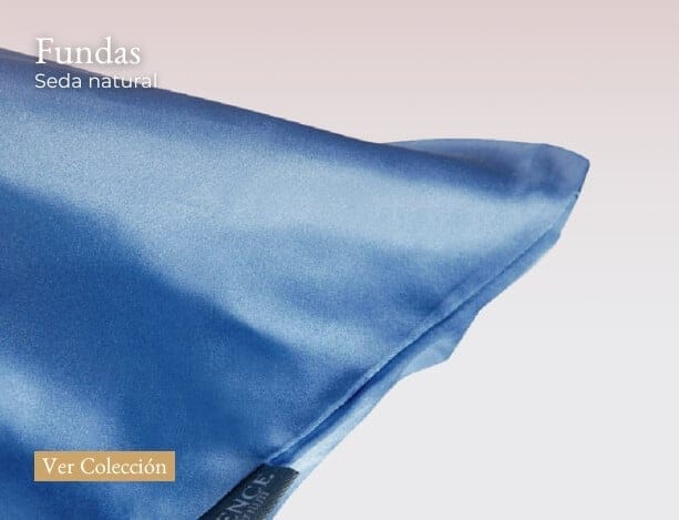 Fundas_New Fundas_New